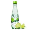 Eau gazeuse Badoit citron vert bouteille 50 cl – Carton de 30