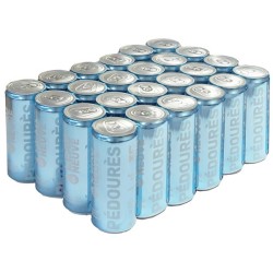 Eau minérale naturelle plate Eau Neuve, lot de 24 canettes x 33 cl