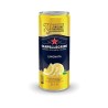 San Pellegrino Canette de format slim - Lot de 24 canettes de 33 cl