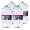 Eau plate Pyrenea, en bonbonne, lot de 4 x 5 L