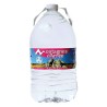 Eau plate Pyrenea, en bonbonne, lot de 4 x 5 L