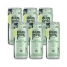 Maison Perrier Eau minérale naturelle gazeuse saveur citron vert sans sucre - Lot 6 canettes slim 33 cl